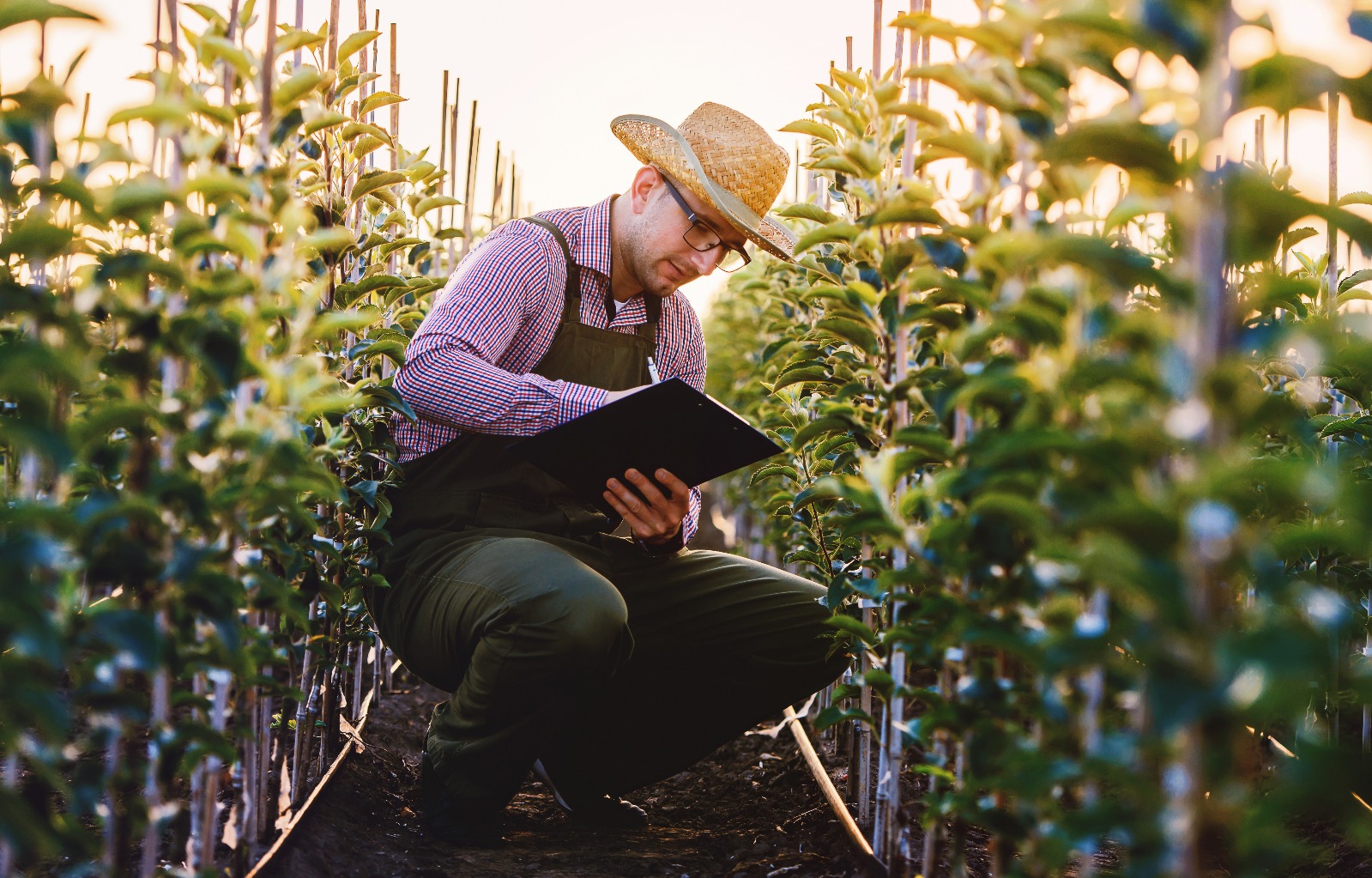 Proven Expertise in Auditing